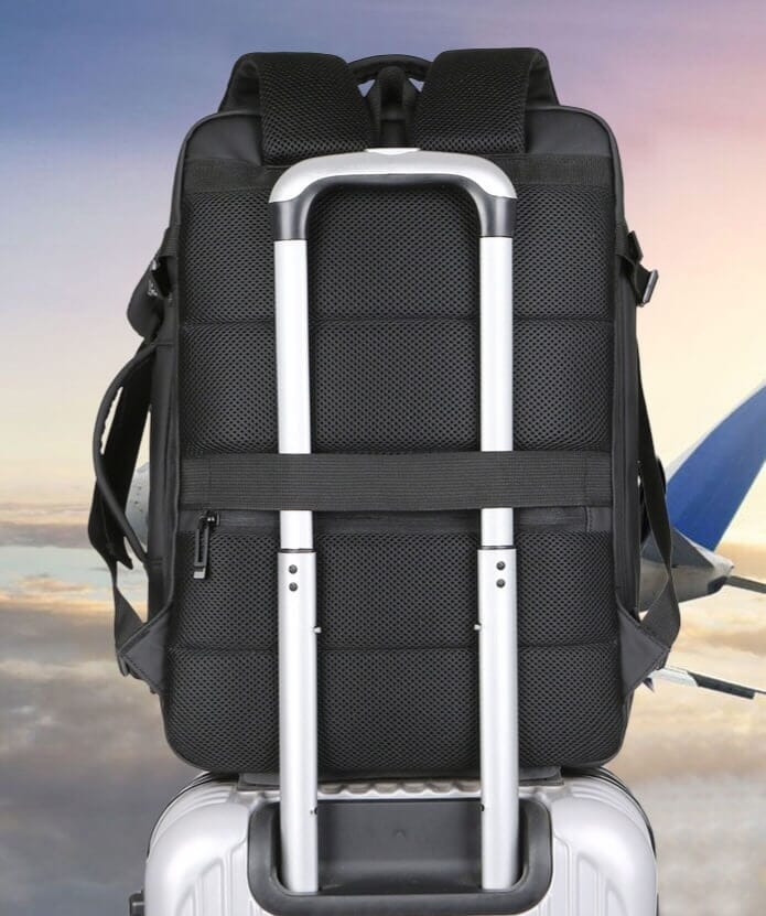 Spacious Executive Travel Backpack